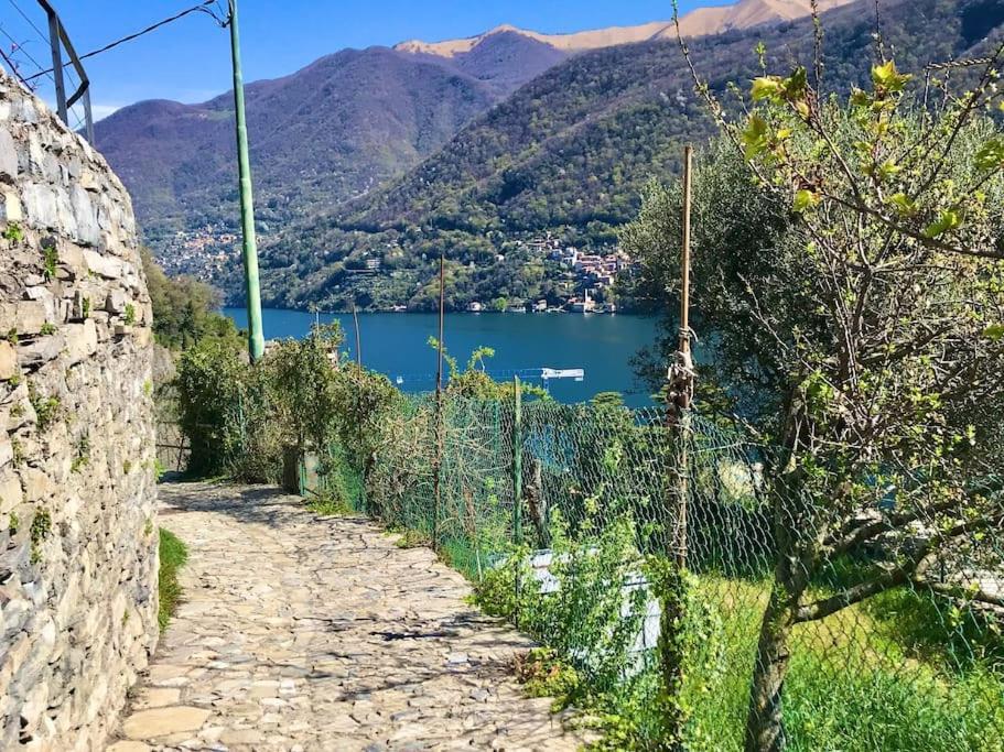 Romantic Home Stone With Amazing View Lake Of Como And Oleandra Laglio Luaran gambar