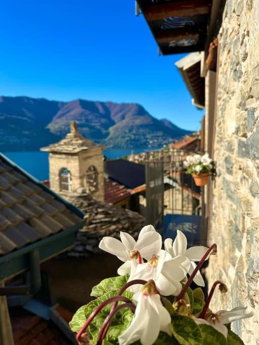 Romantic Home Stone With Amazing View Lake Of Como And Oleandra Laglio Luaran gambar